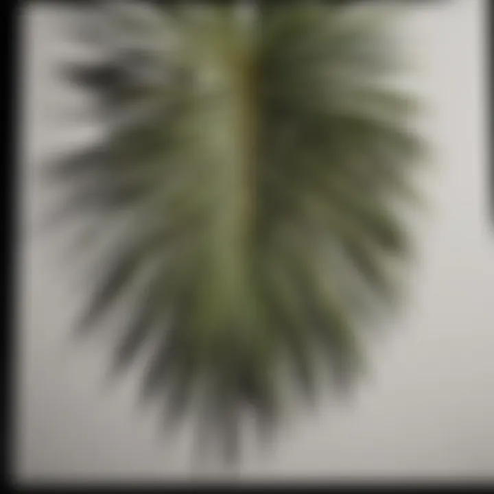 A close-up view of a palm print being analyzed by a modern scanner.