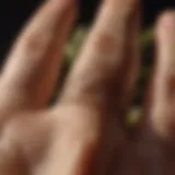 A close-up of palm features showcasing various lines and mounts.