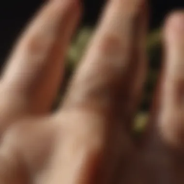 Detailed View of Palm Features A close-up of palm features showcasing various lines and mounts.