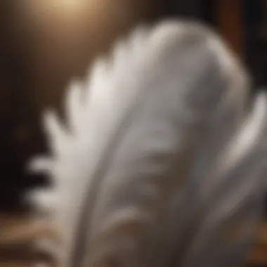 Mystical Close-up of White Feather Close-up of a white feather against a mystical background