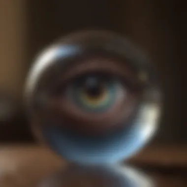 Reflections of the Inner Eye A close-up of a crystal ball reflecting light
