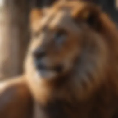 Leo Compatibility with Other Signs Visual representation of Leo compatibility with other zodiac signs