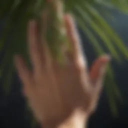 A close-up of a palm with lines clearly depicted