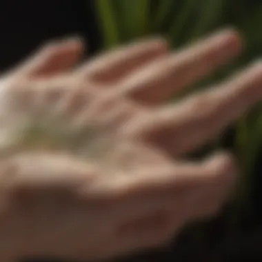 Close-up view of a palm showcasing inherited traits through lines