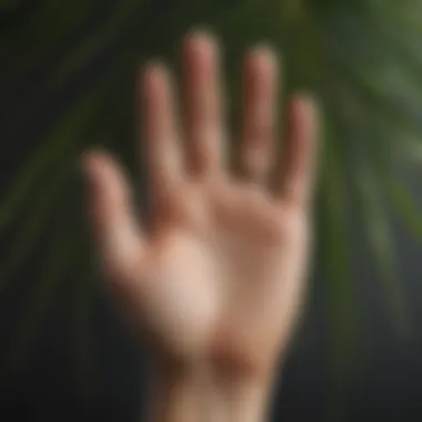 Illustration of Palm Lines and Meanings Illustration of different palm lines and what they signify