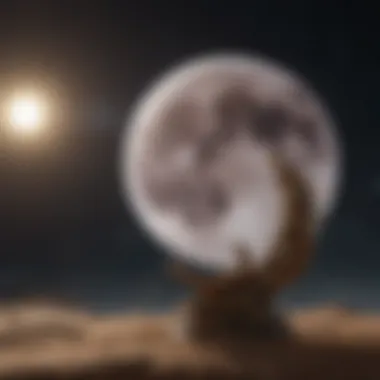 Moon Sign Compatibility Visual representation of compatibility between different moon signs